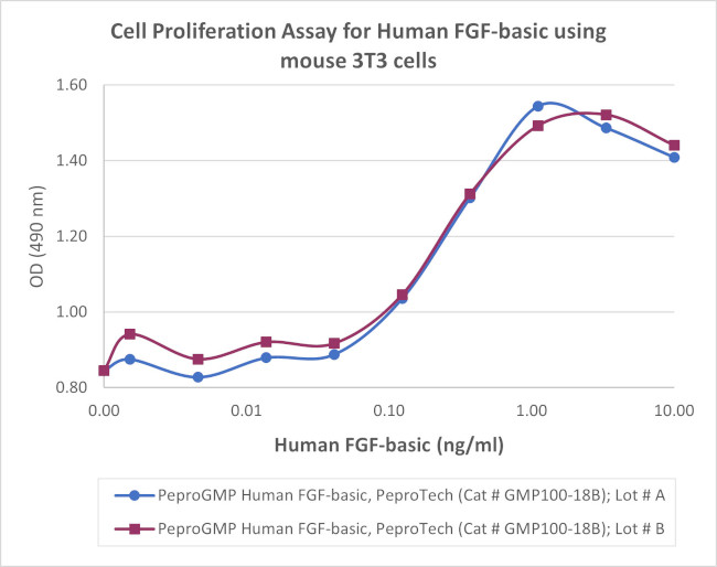 PeproGMP® Human FGF-basic (FGF-2/bFGF) Protein in Functional Assay (Functional)