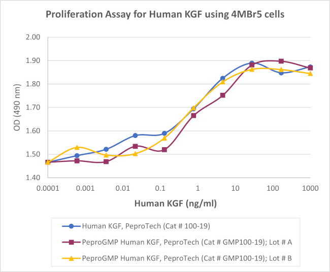 PeproGMP® Human FGF-7 (KGF) Protein in Functional Assay (Functional)