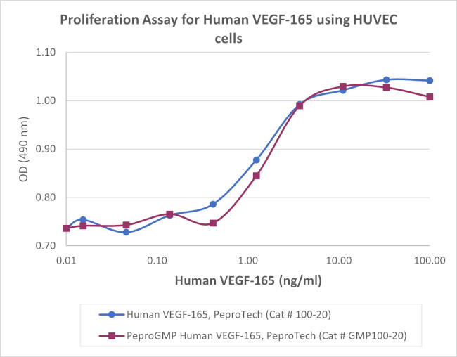 PeproGMP® Human VEGF-165 Protein in Functional Assay (Functional)