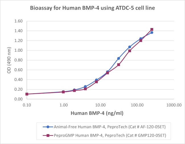 PeproGMP® Human BMP-4 Protein in Functional Assay (Functional)