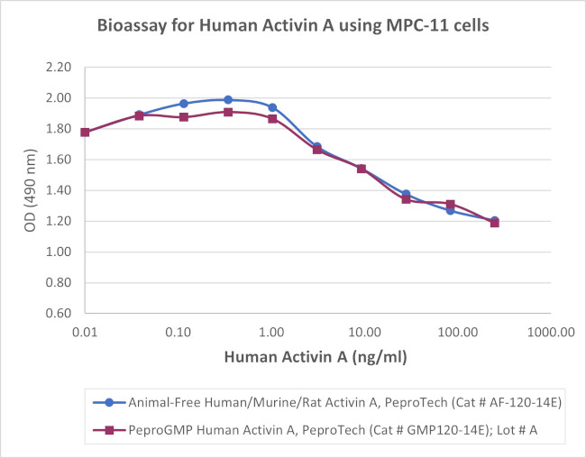 PeproGMP® Human Activin A Protein in Functional Assay (FN)
