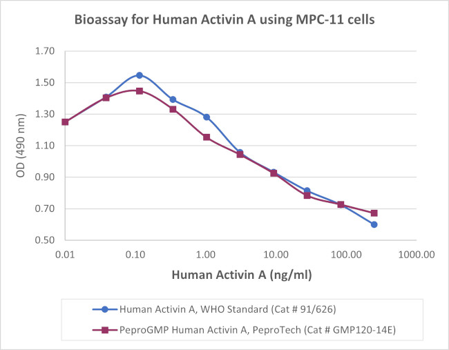 PeproGMP® Human Activin A Protein in Functional Assay (FN)