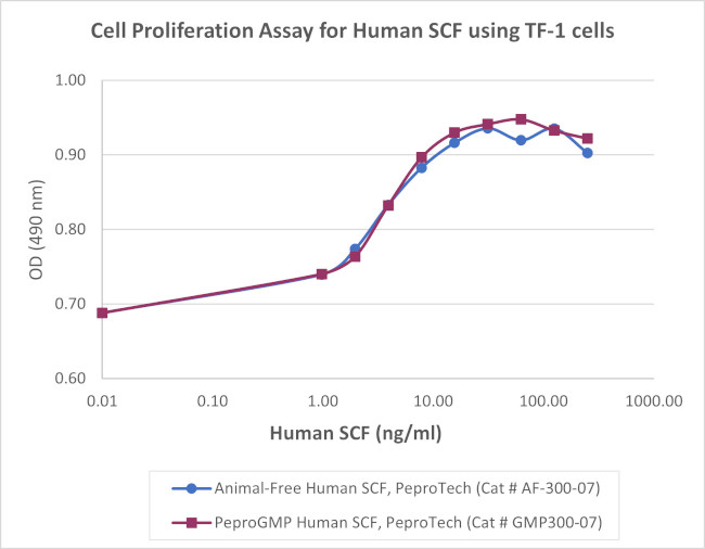 PeproGMP® Human SCF Protein in Functional Assay (FN)