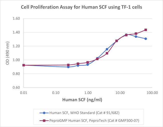 PeproGMP® Human SCF Protein in Functional Assay (FN)