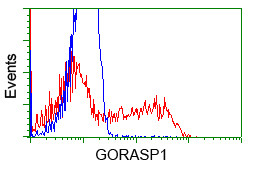 GORASP1 Antibody in Flow Cytometry (Flow)