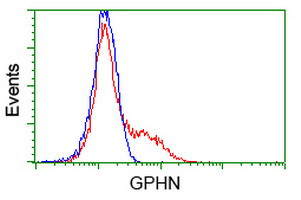 GPHN Antibody in Flow Cytometry (Flow)