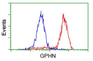 GPHN Antibody in Flow Cytometry (Flow)