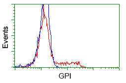 GPI Antibody in Flow Cytometry (Flow)