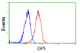 GPI Antibody in Flow Cytometry (Flow)