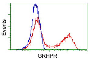 GRHPR Antibody in Flow Cytometry (Flow)