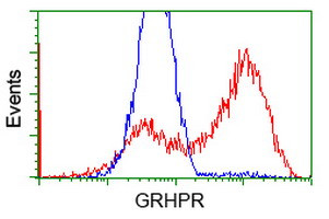 GRHPR Antibody in Flow Cytometry (Flow)