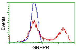 GRHPR Antibody in Flow Cytometry (Flow)