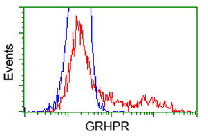 GRHPR Antibody in Flow Cytometry (Flow)