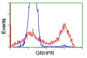 GRHPR Antibody in Flow Cytometry (Flow)