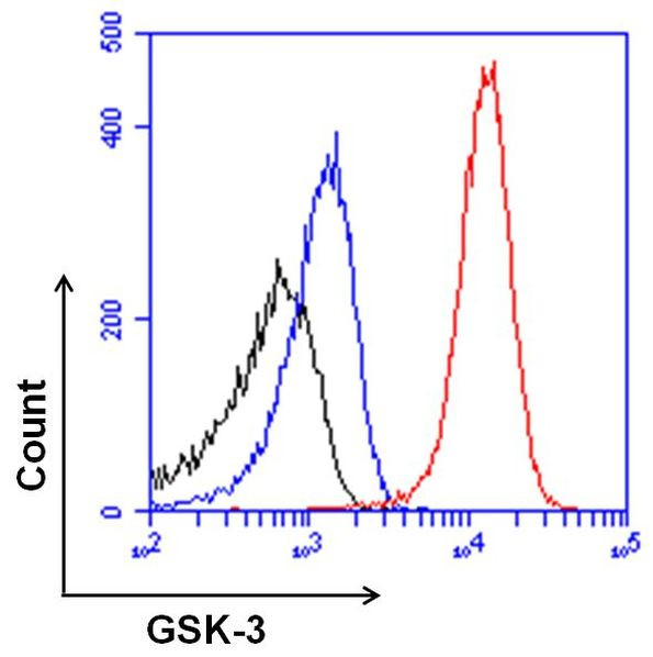 GSK3 alpha/beta Antibody in Flow Cytometry (Flow)