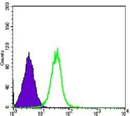 GSK3B Antibody in Flow Cytometry (Flow)