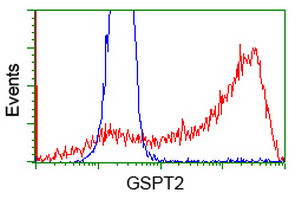 GSPT2 Antibody in Flow Cytometry (Flow)