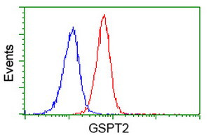 GSPT2 Antibody in Flow Cytometry (Flow)