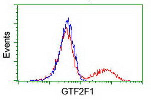 GTF2F1 Antibody in Flow Cytometry (Flow)