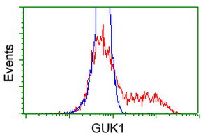 GUK1 Antibody in Flow Cytometry (Flow)