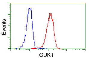 GUK1 Antibody in Flow Cytometry (Flow)