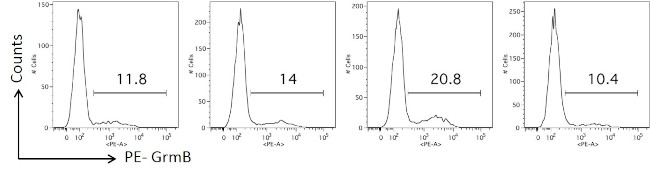 Granzyme B Antibody in Flow Cytometry (Flow)