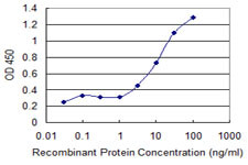 A1BG Antibody in ELISA (ELISA)