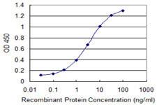 A1BG Antibody in ELISA (ELISA)