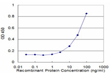 SERPINA3 Antibody in ELISA (ELISA)