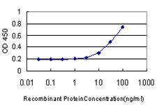 AADAC Antibody in ELISA (ELISA)