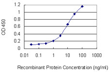 AAMP Antibody in ELISA (ELISA)