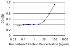 ABCF1 Antibody in ELISA (ELISA)