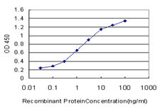 ABL2 Antibody in ELISA (ELISA)