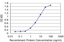 ABL2 Antibody in ELISA (ELISA)