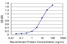 ABL2 Antibody in ELISA (ELISA)