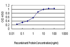 ACACA Antibody in ELISA (ELISA)