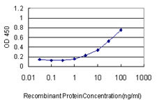 ACO1 Antibody in ELISA (ELISA)