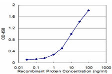 ACTL6A Antibody in ELISA (ELISA)