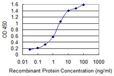 ACVR1 Antibody in ELISA (ELISA)