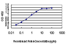 ACVR1B Antibody in ELISA (ELISA)