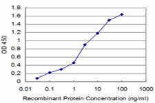 ACYP2 Antibody in ELISA (ELISA)