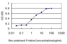 ADD1 Antibody in ELISA (ELISA)