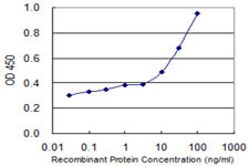 ADPRH Antibody in ELISA (ELISA)