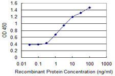 AP2B1 Antibody in ELISA (ELISA)