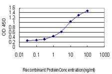 AEBP1 Antibody in ELISA (ELISA)