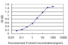 AGC1 Antibody in ELISA (ELISA)