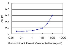 NR0B1 Antibody in ELISA (ELISA)