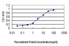 AHSG Antibody in ELISA (ELISA)