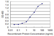 AHSG Antibody in ELISA (ELISA)