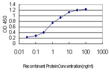 AKT1 Antibody in ELISA (ELISA)